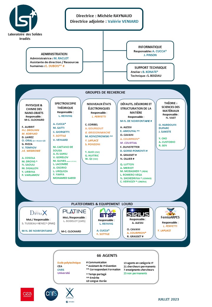 organigramme